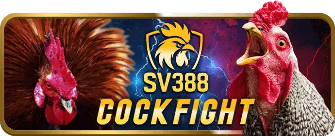 Công nghệ mã hóa SSL